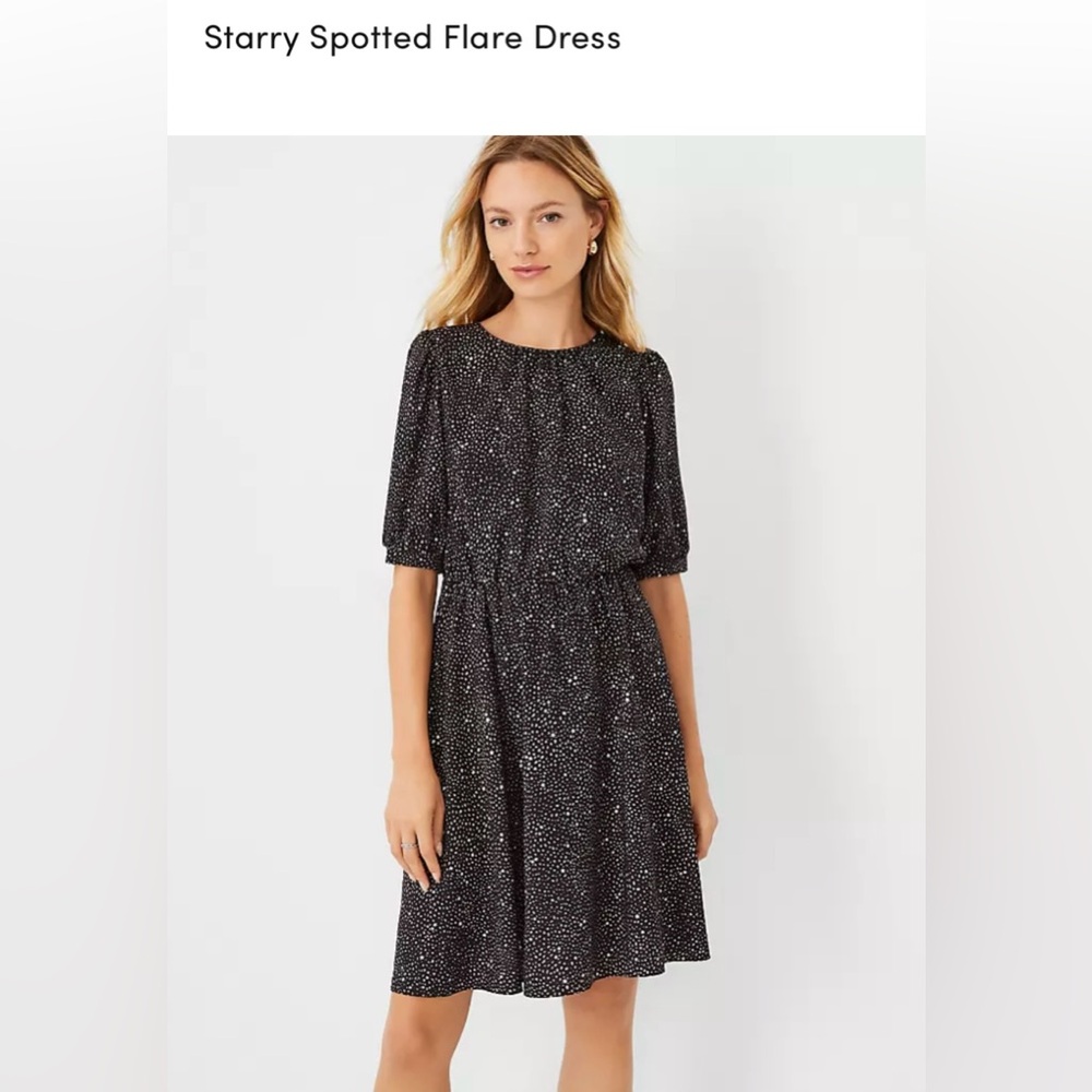 Anne Taylor Starry Spotted Flair Dress. New with tags. Size 8P